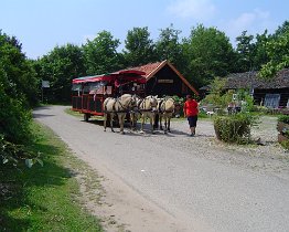 De Panoven Zevenaar 083