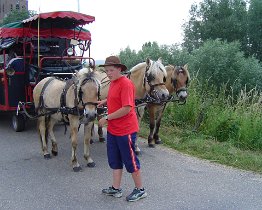 De Panoven Zevenaar 097