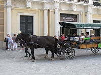 PICT3454 O  Aankomst bij paleis Schönbrunn